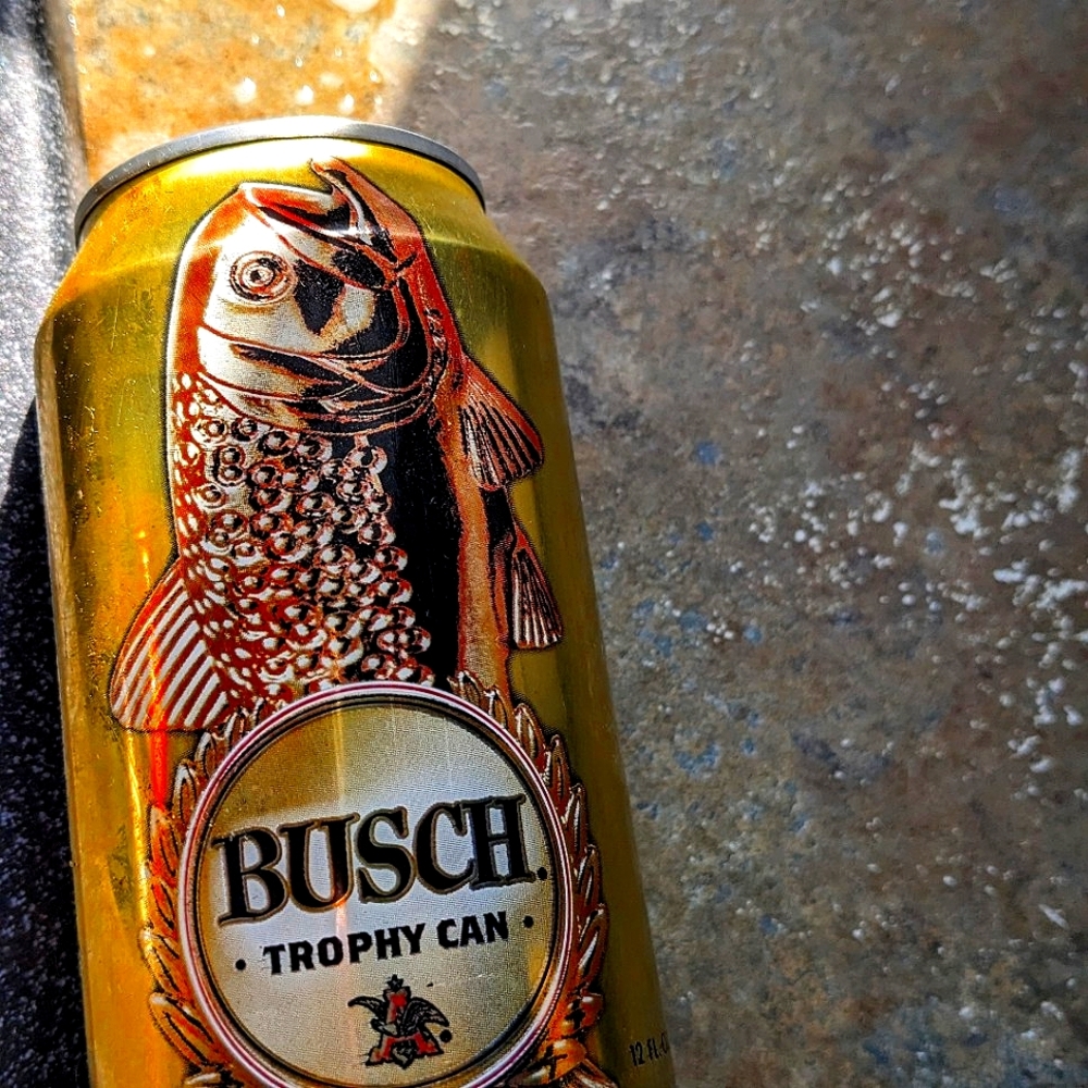 Bush beer trophy gold can from 2016 Contest.